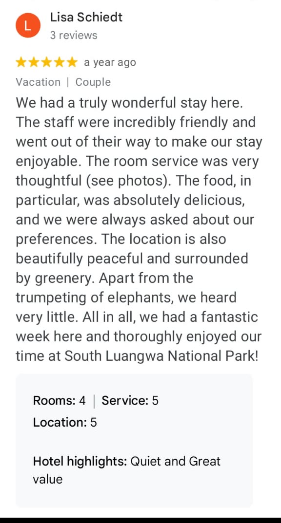 Google review — Lisa Schiedt
